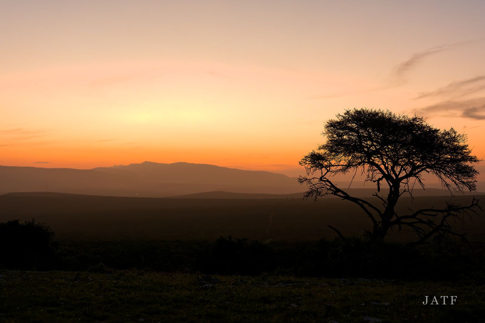 A lone flat-topped tree silhouetted against an orange and violet sunset over open hills
